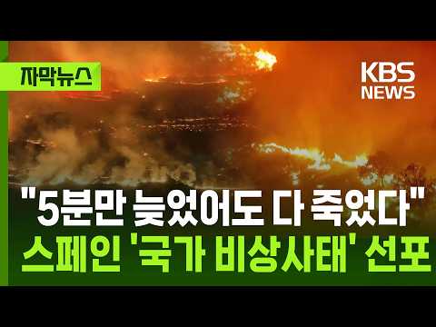 [자막뉴스] 
