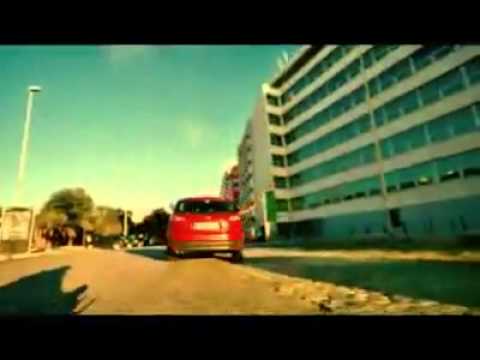 Tom boxer - Beautifull day