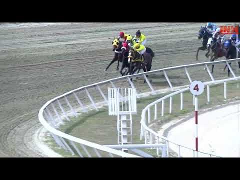 C16 | Vinicius Jr. |  Hipódromo Internacional La Rinconada | Reunión 02 | 2025