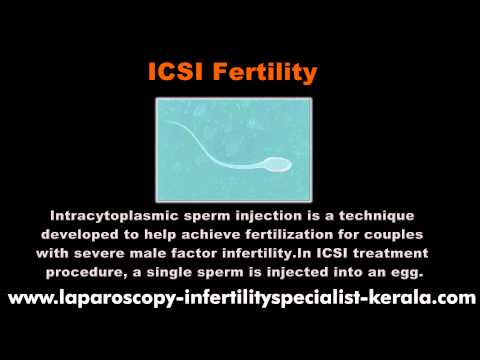 Best Fertility Clinic | Infertility Solutions Kerala | Pregnancy Treatment India