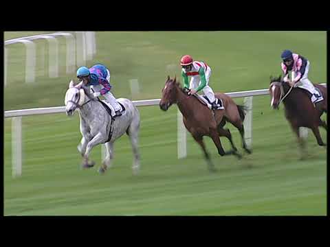 2019-11-21 Corsa 1 Metri 1500 Premio Boccadarno