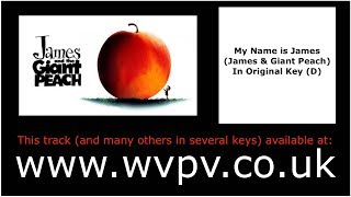 My Name is James by Randy Newman (Piano Backing Track) (Karaoke) (Singing Study)