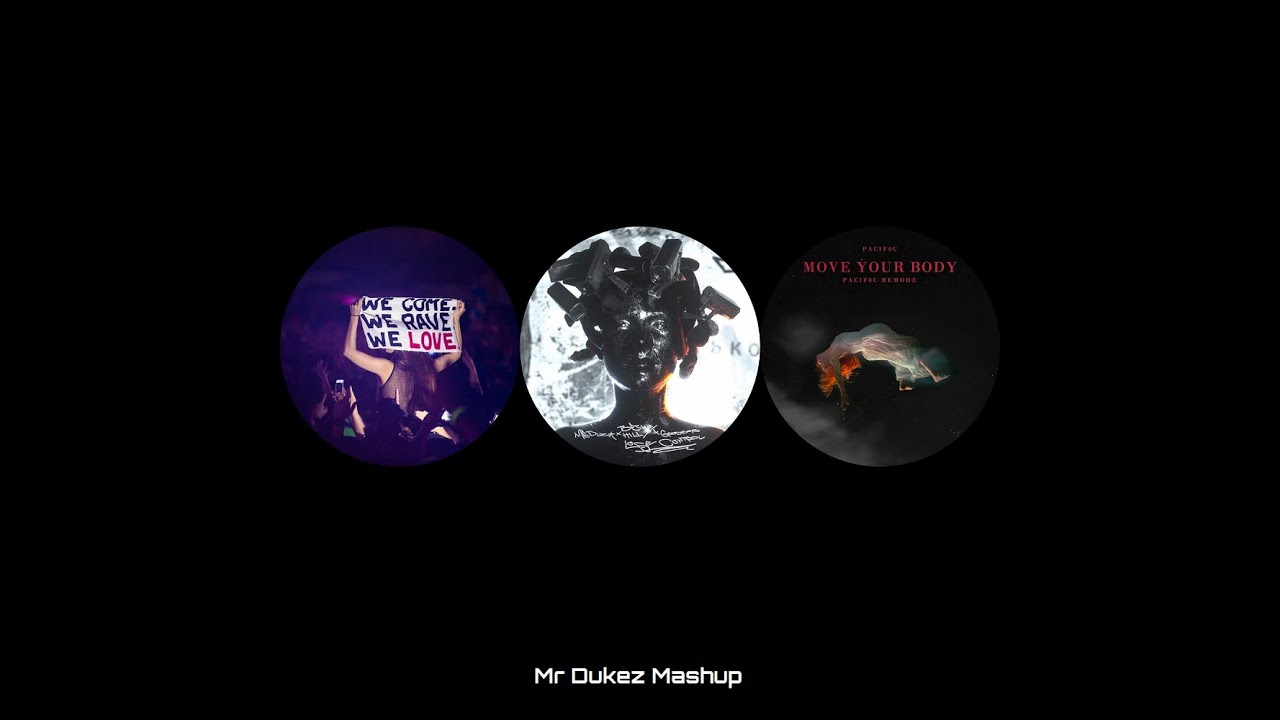 We Come We Rave We Lose Your Body [Axwell, Ingrosso x Meduza x Pacif0c] -Mr Dukez Mashup-