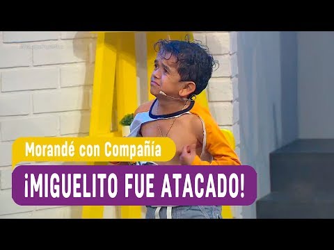 ¡Miguelito fue atacado por un perro! - Morandé con Compañía 2017