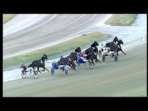 Napoli Trotto 26/06/2021 - 2ª corsa