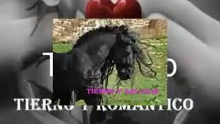 Bronco huella digital