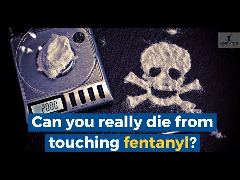 Can You Really Die From Touching Fentanyl?
