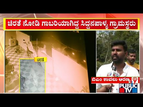 Leopard Spotted Near BM Kaval Forest Area..? | Public TV