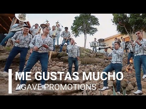 @LaImponente - Me gustas mucho (Musical En Vivo)