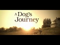 A DOG'S JOURNEY | In Cinemas August 15