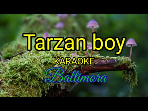 Tarzan boy- Baltimora-karaoke