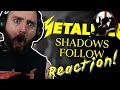 OH MY GOD AN ACTUAL MELODY METALLICA Shadows Follow REACTION Metal Guitarist Reacts