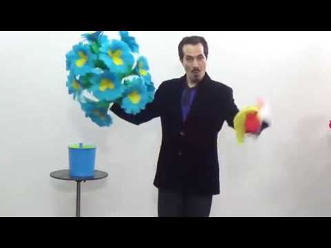 Bouquet immense (Ati Flower Vase)