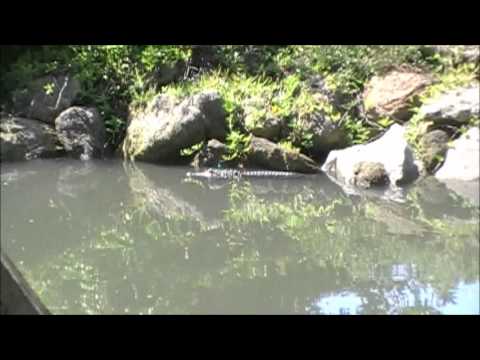 Benny Benassi- Electroman Feat. T-pain