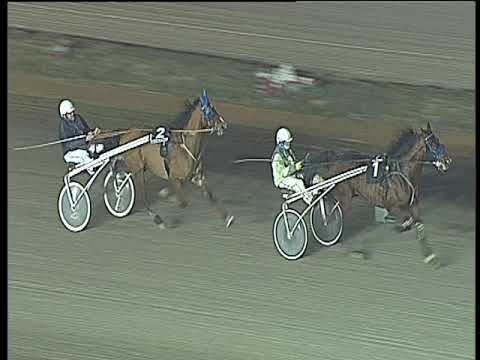 Trotto 02/02/2018 - prova di riqualifica