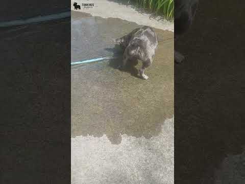 Video 3