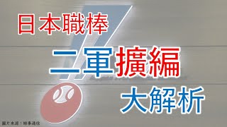 [閒聊] 關於日二那兩隻新軍