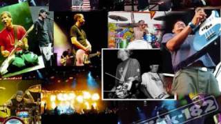 Blink-182 - Hope (live) [The Descendants Cover]