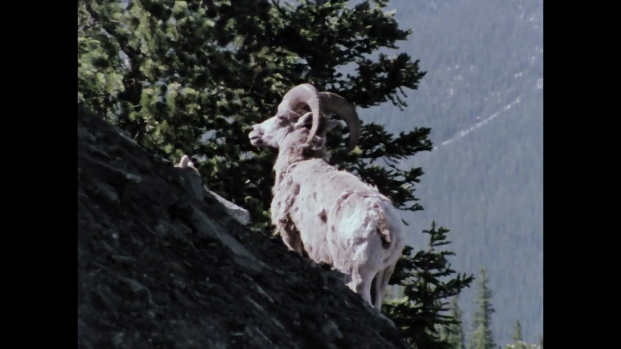 A Day in the National Parks, NFB 1976