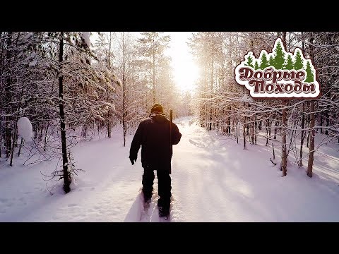 ПОЕЗДКА В ИЗБУ 🌲 В ТАЙГУ НА МОТОБУКСИРОВЩИКЕ УРАГАН 👇