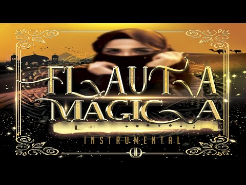 BASE DE USO LIVRE - BREGA FUNK - FLAUTA MÁGICA Instrumental - | (Prod. Dodô Diplomata no Beat) #28