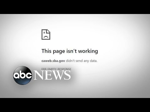 小企業第二輪申請期間貸款網站崩潰 (Loans website crashes during 2nd round of applications for small businesses)
