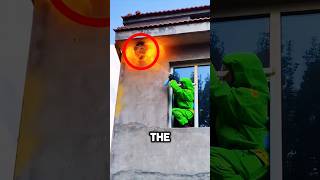 Hornet Nest Removal With A Flamethrower 🔥😱