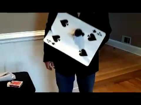 Umbrella Card Sword -  Madhatter Magic Shop