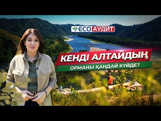 Шығыс Қазақстандағы орманды қалпына келтіру жұмыстары