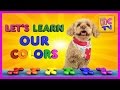 Learn Colors With Lizzy the Dog | Educational Video for Kids by Brain Candy TV