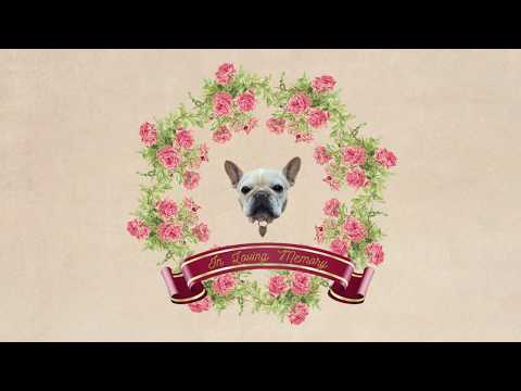 Poncho - Voy a Soñar Con Vos -  Ft Simón Poxyran (Video Oficial)