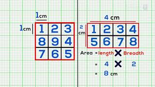 Area of Square & Rectangle | Explained Easily on Graph Sheet | By Cerebroz EduTree