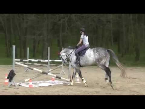 Bara Tomanová and Quo Vadis - Jump