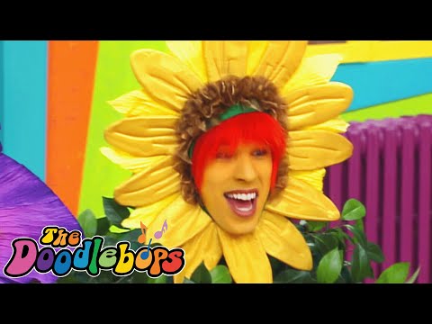 The Ewww Flower | The Doodlebops - WildBrain | Movies for Kids