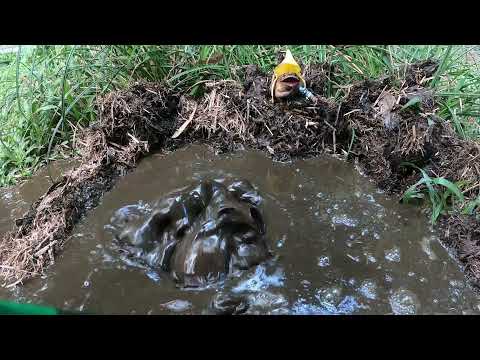 Blocked Drain 75 (Blocked septic trenches @ Hidden Oasis)