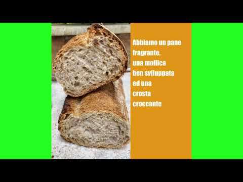 panetteria botteghelle pane integrale al lievito madre