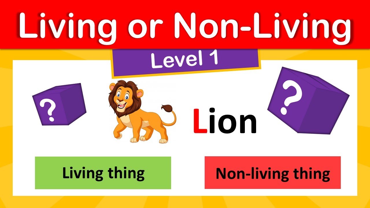 Living or Non-Living Quiz |  For Kids |  Fun Activities | Level 1 #funquizzes #funeducation