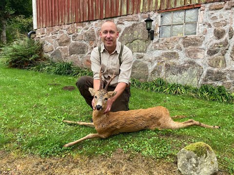 Råbockspremiären 2022   Den gamle och hygget