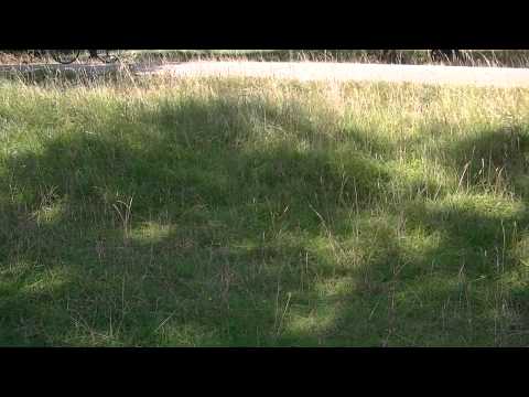 MongoTV_559 - Del 35 - Cykeltur Til Lyngby-Jægersborg-Gentofte-Charlottenlund-Klampenborg