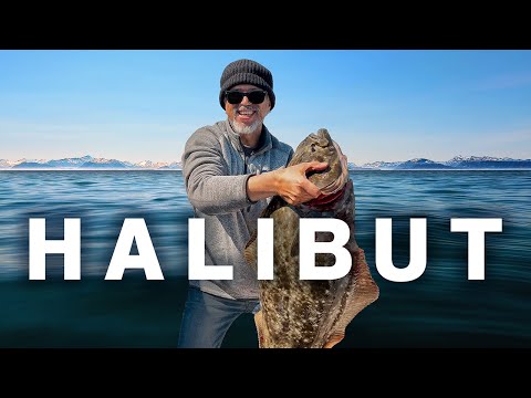 Halibut Fishing in Homer, Alaska | A Fisherman's Dream