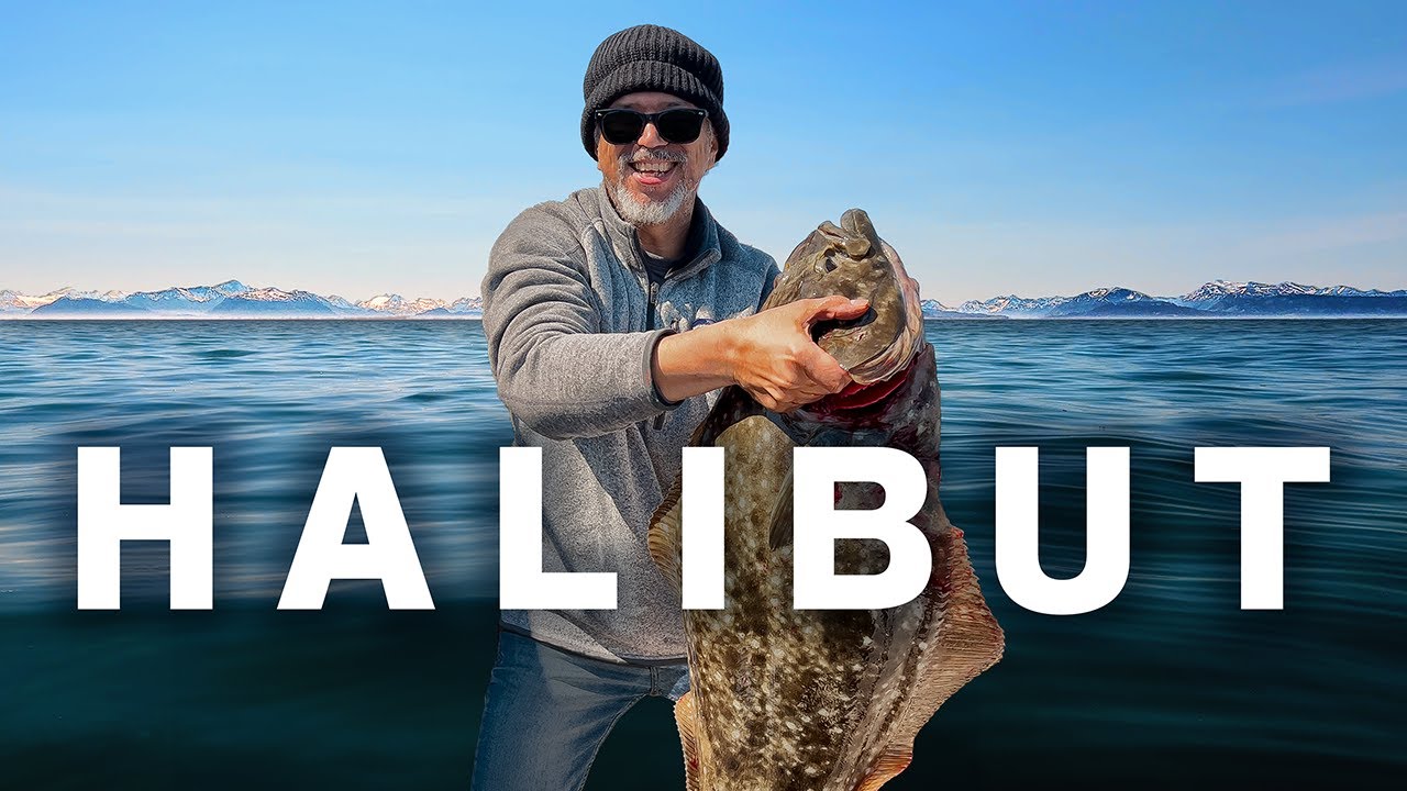 Halibut Fishing in Homer, Alaska | A Fisherman's Dream