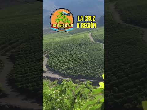 🎯 “3 Curiosidades que No Sabías de La Cruz, Quinta Región 🌿🇨🇱”