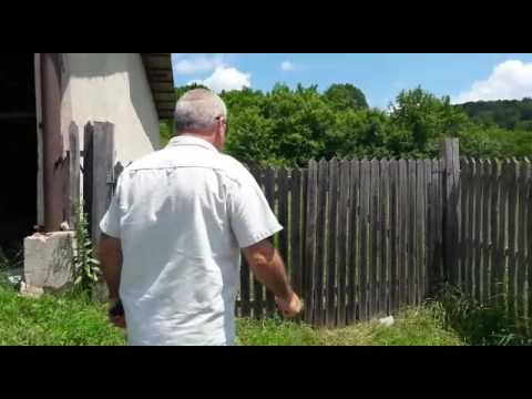 spargere primaria cocu 2