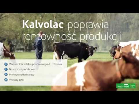 , title : 'Preparat mlekozastępczy dla cieląt Kalvolac'