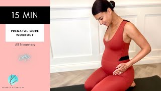 15 Minute Prenatal Core Workout for Faster Delivery & Quicker Recovery | All Trimesters