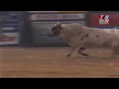 Rooster bucks Chris McClure - 01 PBR Finals