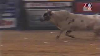Rooster bucks Chris McClure - 01 PBR Finals