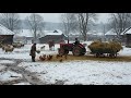 How Do People Live In Remote Transylvanian Villages Maramures Countryside