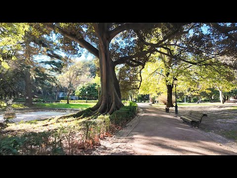 A Serene Walk Through Jardim da Estrela | Peaceful Park Ambience in Lisbon