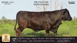 LOTE 15  FIV3178